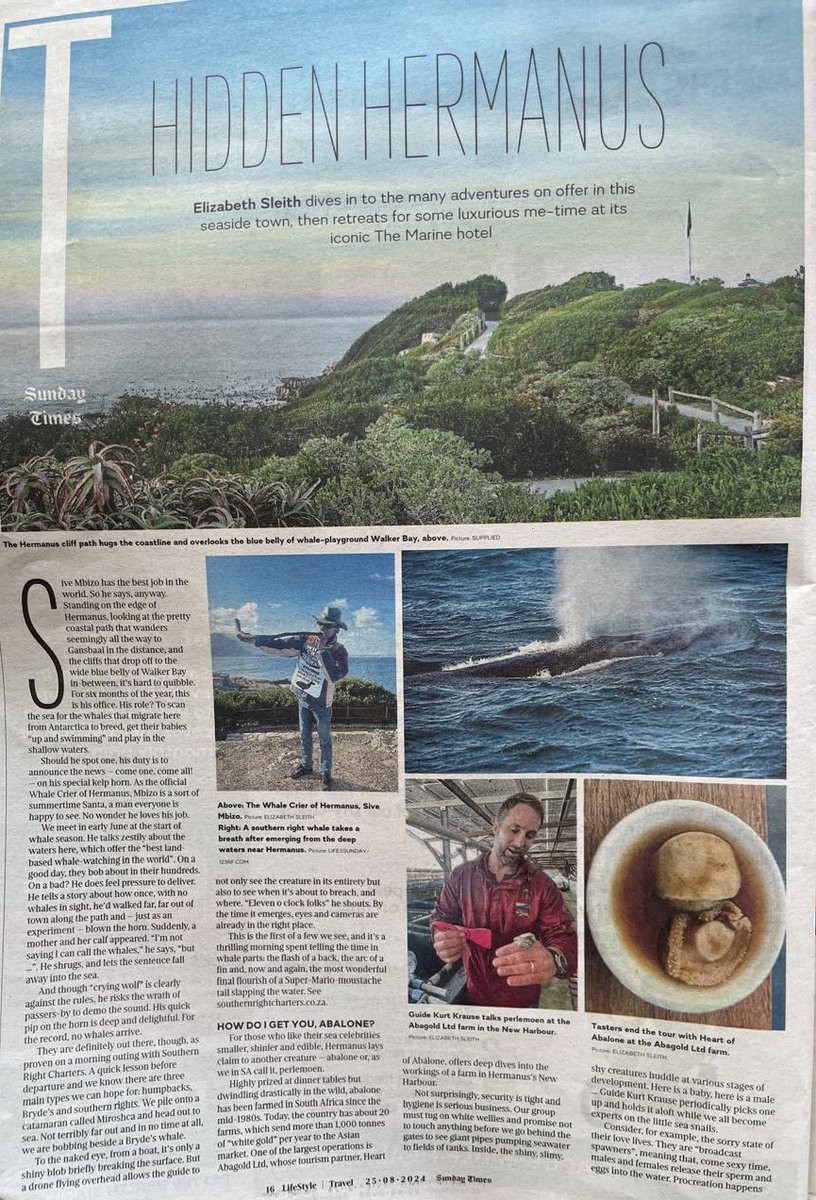 creationwines's tweet photo. All about our corner of the worldβs #hiddentreasures π«β¨in the @SundayTimesZA Lifestyle section!π°ππ
#cityofgastronomy #visithermanus #sundayfunday #unesco #whaleseason #whalewatching #finewine #capefloralkingdom https://t.co/pEg3loJfSr