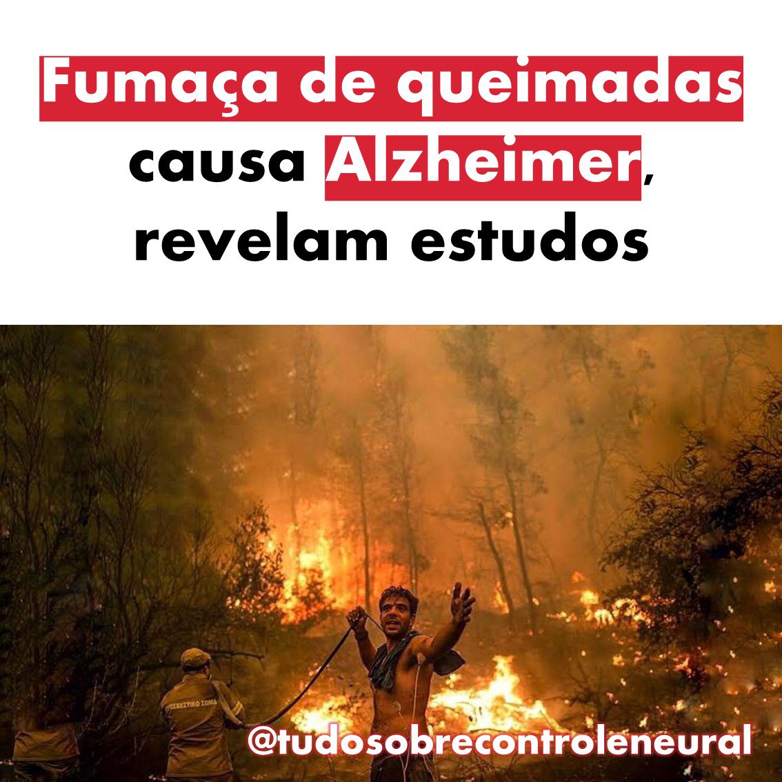 proflaialichaar's tweet photo. Para saber mais 👉 https://t.co/AS7dpYY3oJ https://t.co/peVKIvTqKg