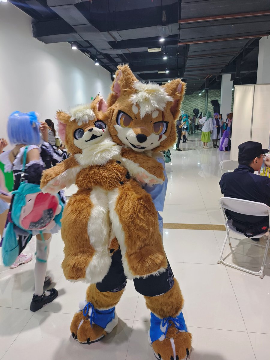 threedogs12329's tweet photo. #FursuitEverday 
#fursuit
小狗和迷你狗🐶 https://t.co/S1nV16RQ24