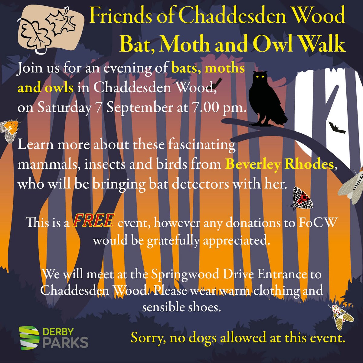 On Saturday 7 September, join us for an evening of Bats, Moths and Owls at 7 pm. We will be using bat detectors &amp; moth traps to identify species. Meet at the Springwood Drive entrance to the wood. This is a FREE event, but dogs are NOT allowed. <a href="/derbyshirebats/">Derbyshire Bat Group</a> <a href="/derby_parks/">Derby Parks</a>