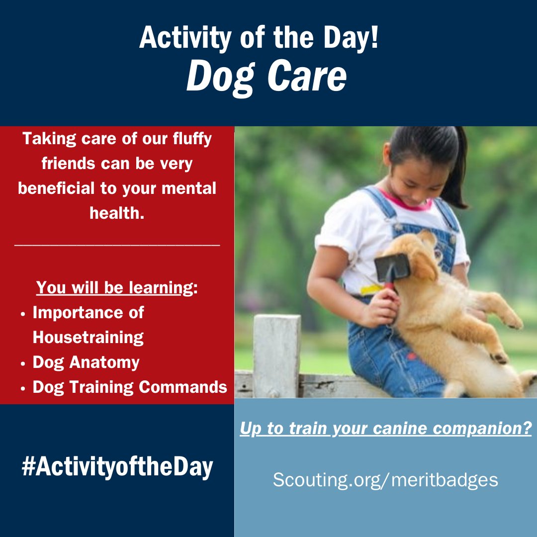 Man's best friend sometimes needs a friend too.  Be that friend with the Dog Care Merit Badge!