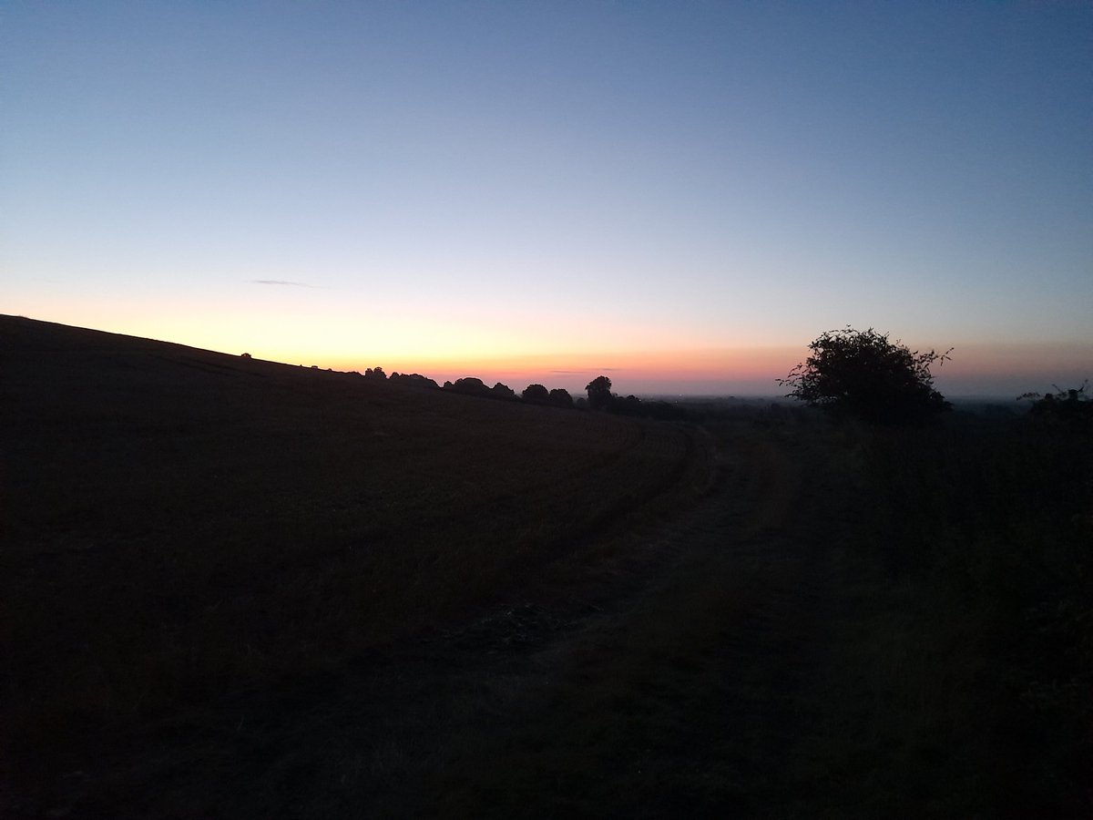 Bucktonbirder now on Bluesky (@bucktonbirder) on Twitter photo Back ringing at Clopton, S Cambs. 5 new Grasshopper Warblers, 36 Blackcap, 3 Garden Warblers, 3 Lesser Whitethroat and 3 Willow Warbler. Tree Pipit fly over. With <a href="/Duerdenc1/">Duerden Cormack</a> <a href="/CambsBirdClub/">Cambs Bird Club</a> Back ringing at Clopton, S Cambs. 5 new Grasshopper Warblers, 36 Blackcap, 3 Garden Warblers, 3 Lesser Whitethroat and 3 Willow Warbler. Tree Pipit fly over. With <a href="/Duerdenc1/">Duerden Cormack</a> <a href="/CambsBirdClub/">Cambs Bird Club</a>