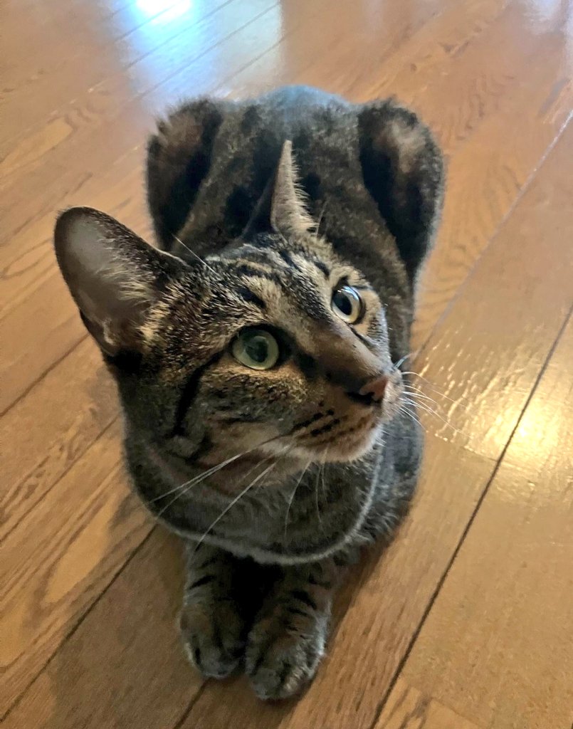 今日も最高に可愛い☺