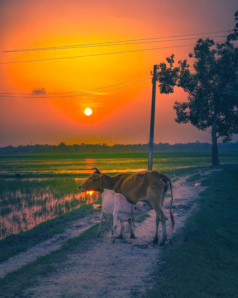 SanatanTalks's tweet photo. Picture of the day ❤️😍 https://t.co/ca6z0YDzMN