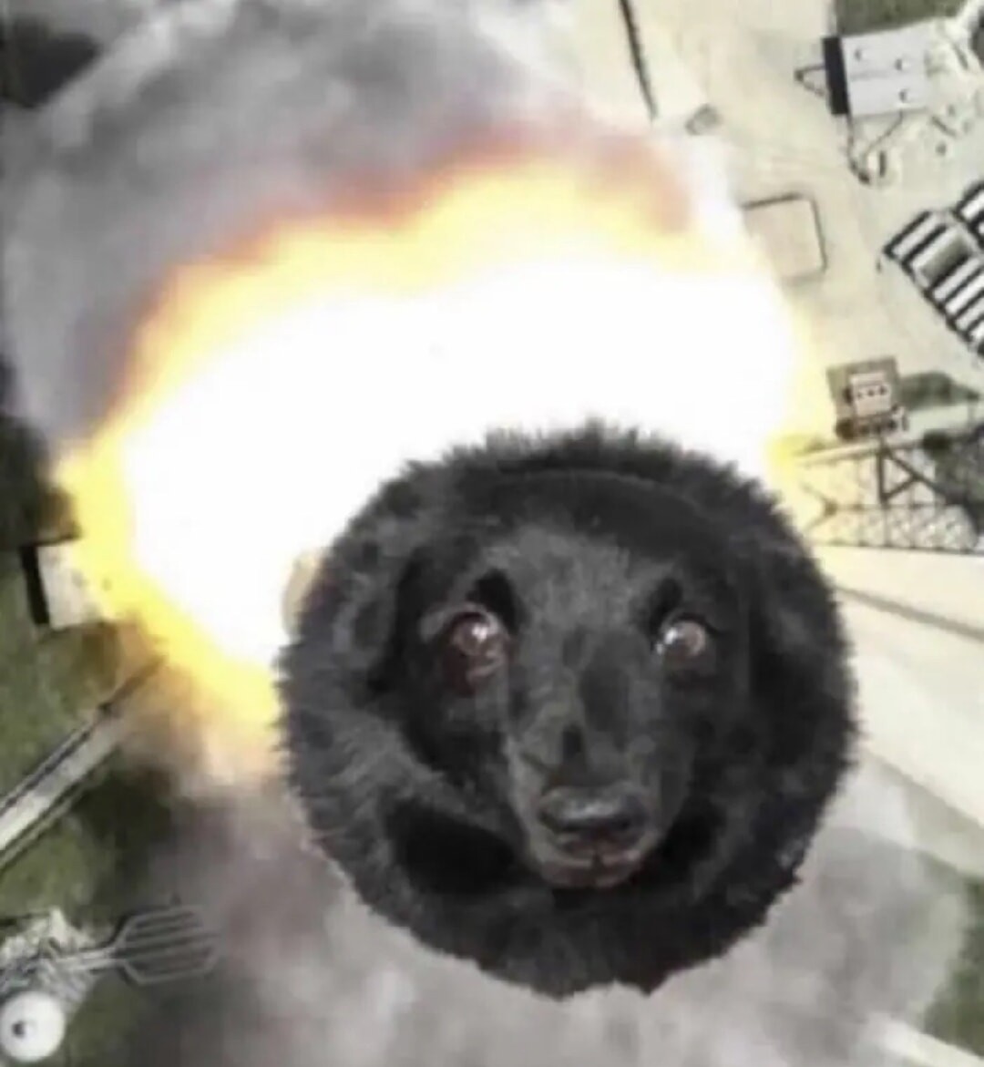 Jack Modus tweet media