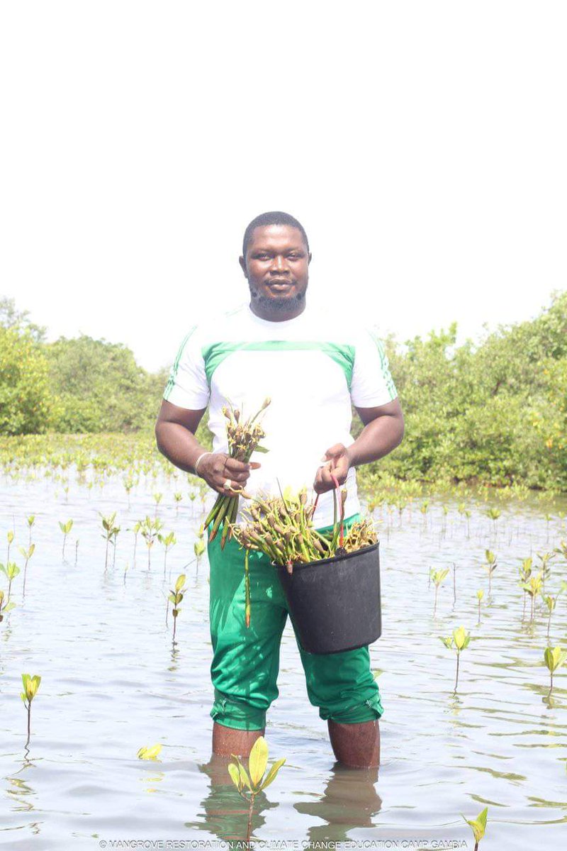 sadouba537655's tweet photo. We are participating in the Sanyepd - The Gambia Restoration Camp which takes place from 23 to 25 August in Sanyang. The objective is to contribute to the protection of our ecosystem. Youth are committed to climate justice in Africa. #pacja1 #prdiomaye https://t.co/orO1sE5rsD