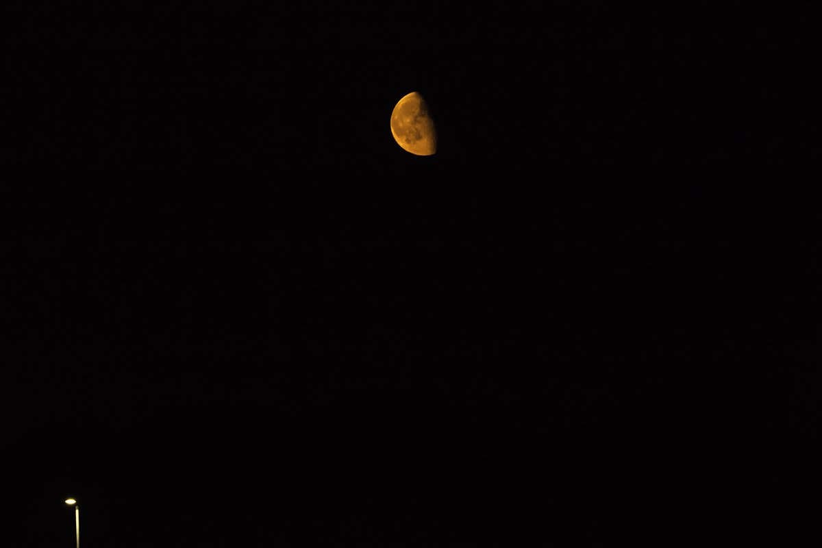 archmaca's tweet image. quick snap from last nights red moon