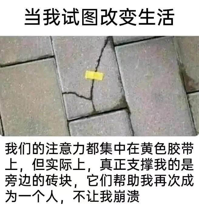 zhonghuifufu's tweet photo. https://t.co/gKWgibN0lR