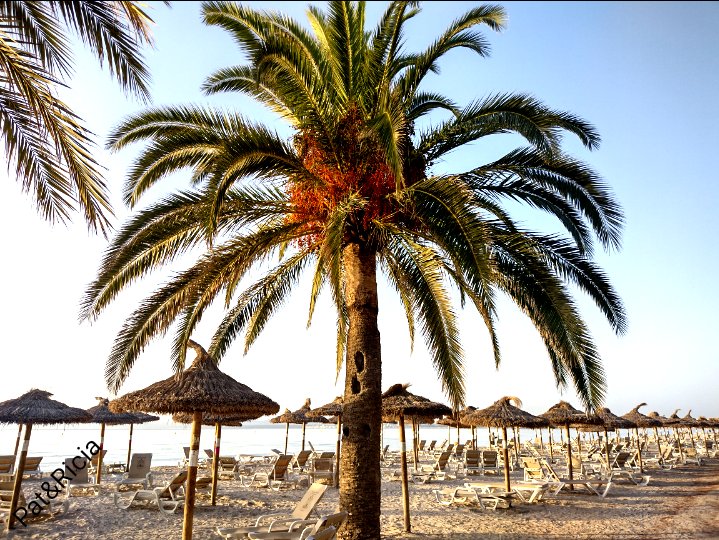 PATandRICIA's tweet photo. Have a beautiful day 💜
#weekend #sundayvibes #morningexercise #dailywalk #mindfulness #mentalhealth #mentalwellbeing #healing #nature #naturephotography #naturelovers #photoblogger #photographer #photography #weekendvibes #travelphotography #travellovers #globetrotter #fitness https://t.co/22mng0bzA5