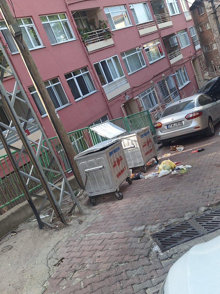 oblomovik's tweet photo. Sokak itlerinizi toplayın artık. Şehrin ortasında sürüler halinde dolaşıp sabaha kadar havlamaları yanında çöpleri de talan edip pisliğe sebep oluyorlar. Konum Veliahmet, çarşının göbeği. @izmitbelediye @fatmakaplan https://t.co/UQg8pSxf74
