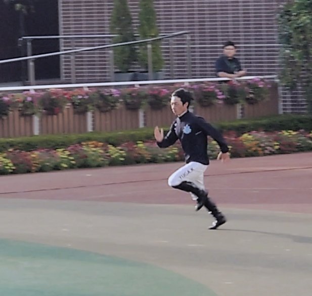 Eito_FGOMoomin's tweet image. 札幌13R パドック直線15m
カワダ ユウガ(牡38)

スタートを決めて良い脚でしたw
#WASJ 
#川田将雅