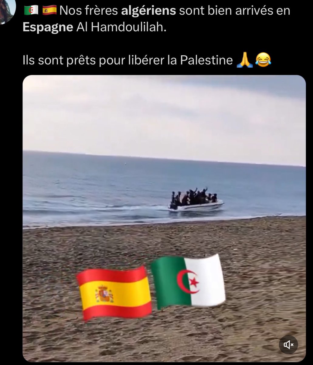 roxane tweet media