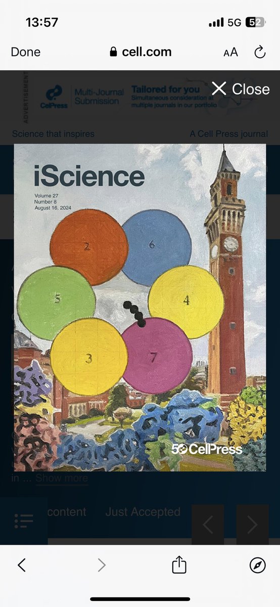 Aga Gambus (@agagambus) on Twitter photo Have you seen our recent cover? The MCM2-7 ring ruling over The Birmingham University campus š. The symbols of the DNA replication field and the Birmingham Old Joe! <a href="/UOBengage/">UoB Public Engagement</a> Have you seen our recent cover? The MCM2-7 ring ruling over The Birmingham University campus š. The symbols of the DNA replication field and the Birmingham Old Joe! <a href="/UOBengage/">UoB Public Engagement</a>
