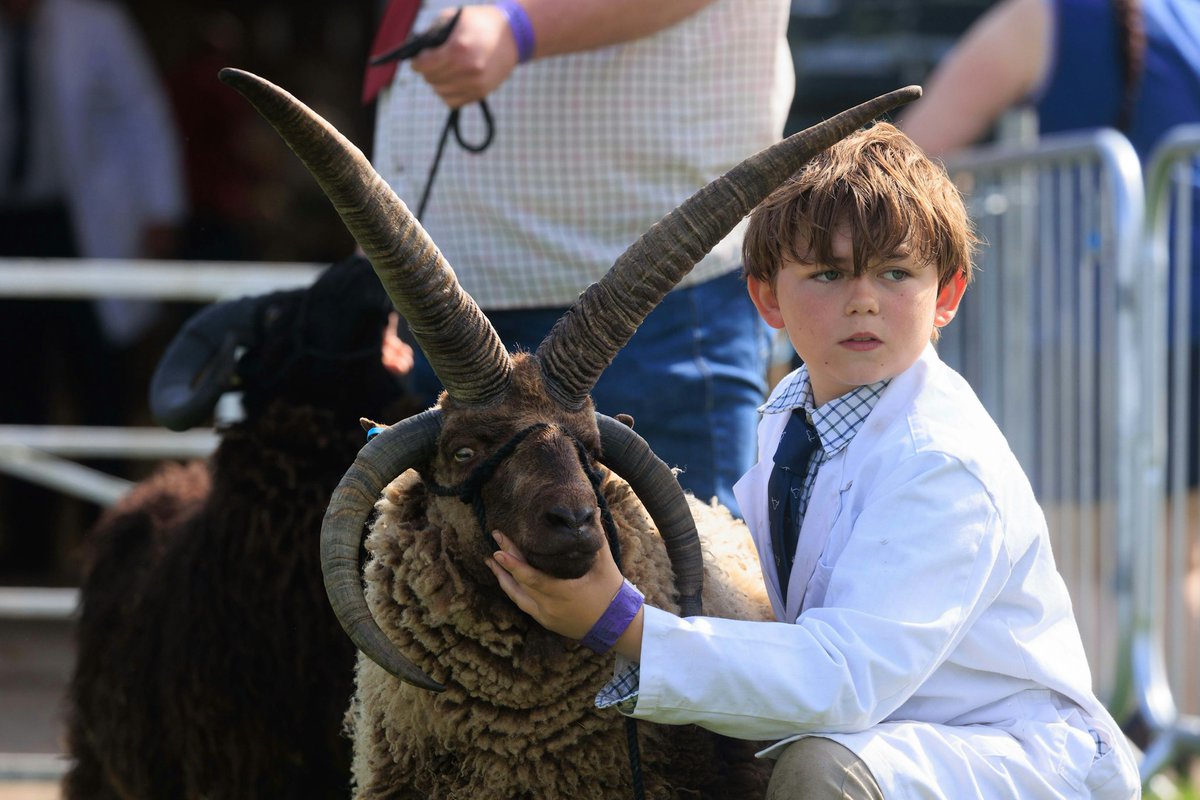 Notts County Show tweet media