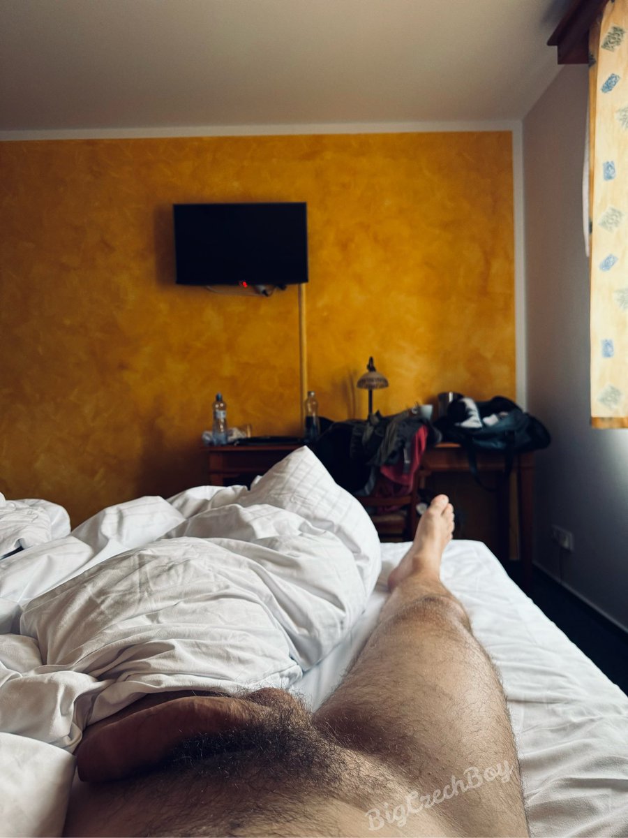 BigCzechBoy (11K) tweet media