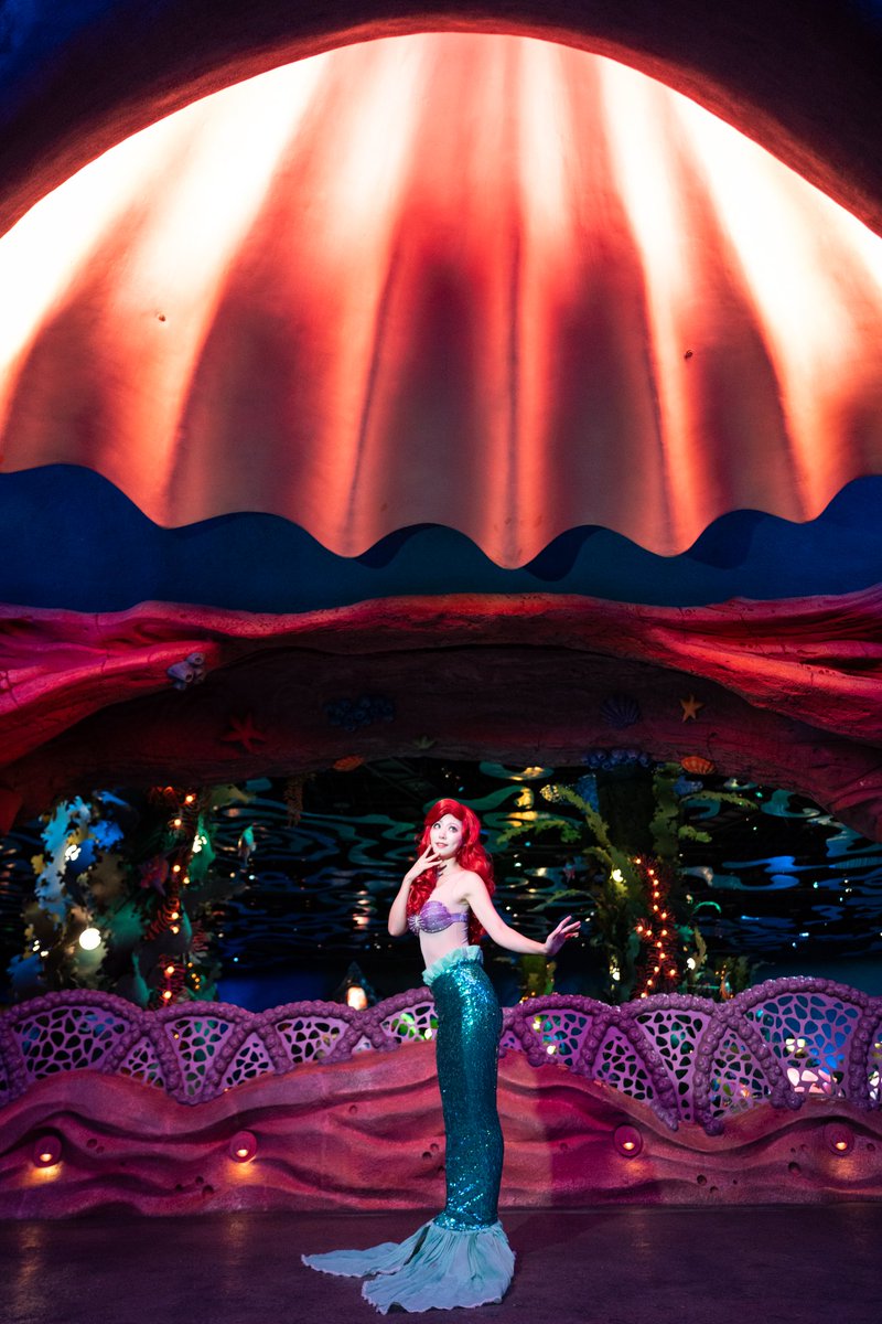 TYOREO/ディズニー写真 tweet media