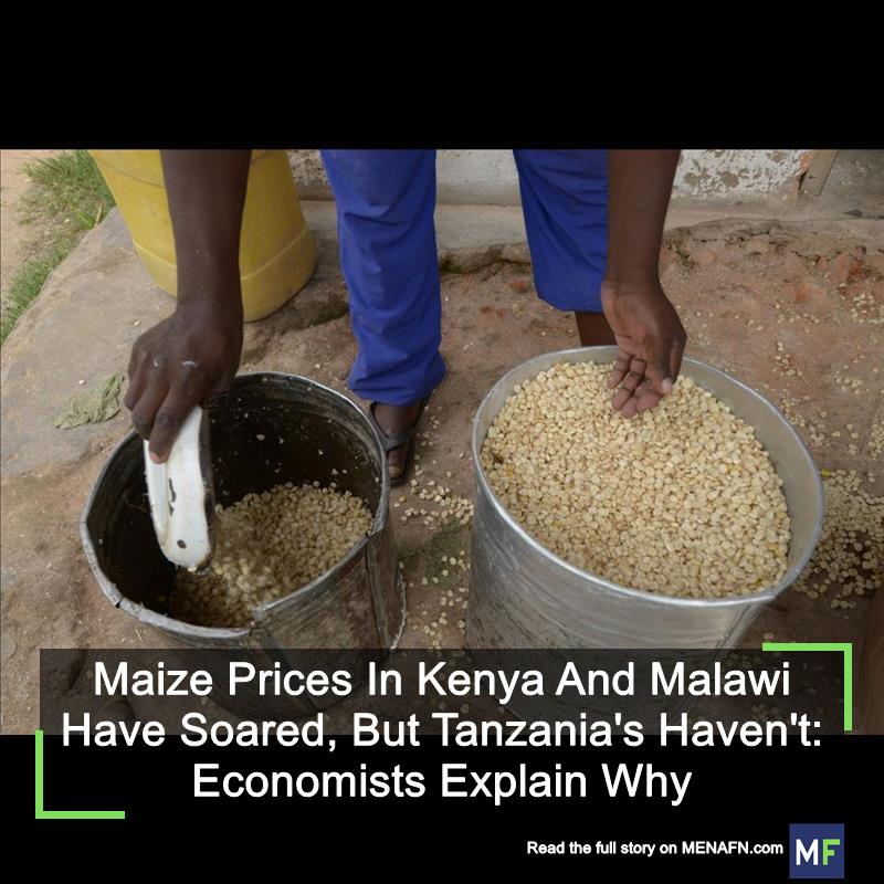 MENAFN's tweet photo. Maize Prices In Kenya And Malawi Have Soared, But Tanzania's Haven't: Economists Explain Why #Maize #Prices #Kenya #Malawi #Have #Soared, #Tanzania's #Haven't: #Economists #Explain #Inflation #Currency #US #Dollar #Exchange #Recession https://t.co/rRs59e9VGl https://t.co/YiwnTFpGHS