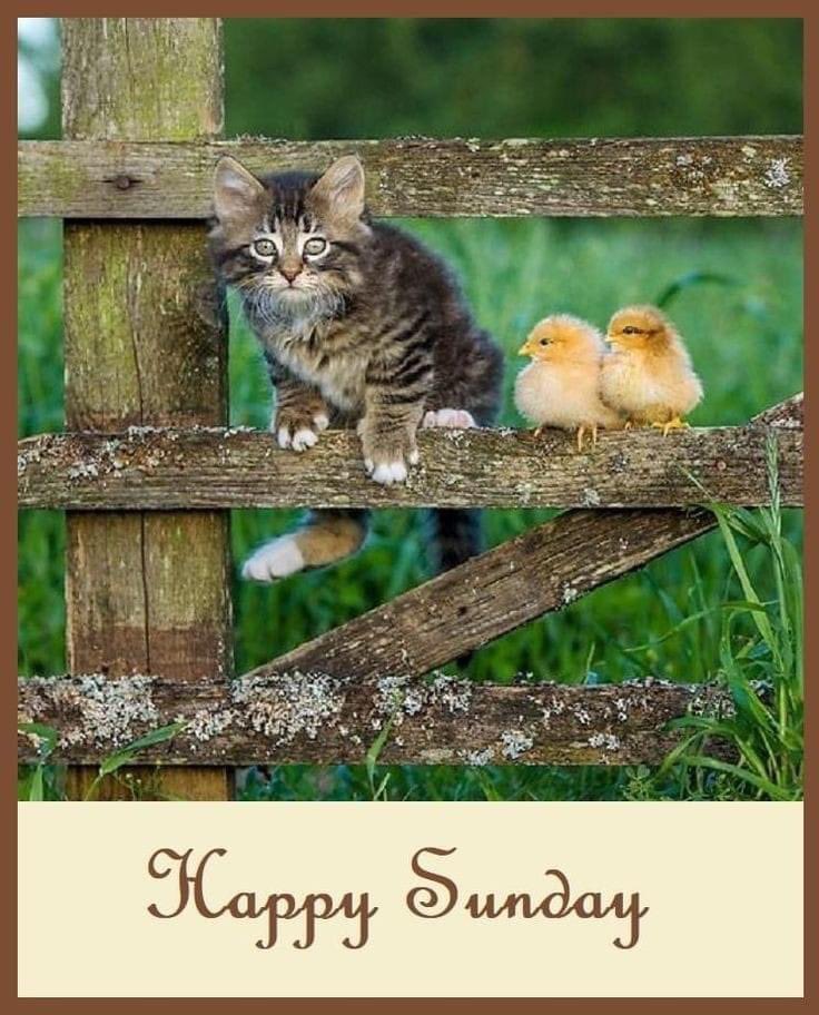 <a href="/geonelroma/">Gee Enne</a> Buona domenica George. È stata una settimana lunga e impegnativa. Mi dispiace per la mia assenza. Ti sono mancato, caro amico?