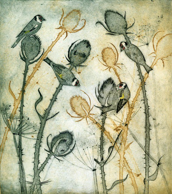 'Charm of Goldfinches' by Kerry Buck, contemporary UK printmaker #womensart #latesummer