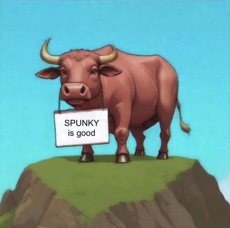 Spunky Rabbits tweet media