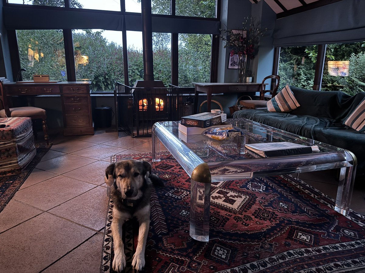 p4rma 🪃 tweet media