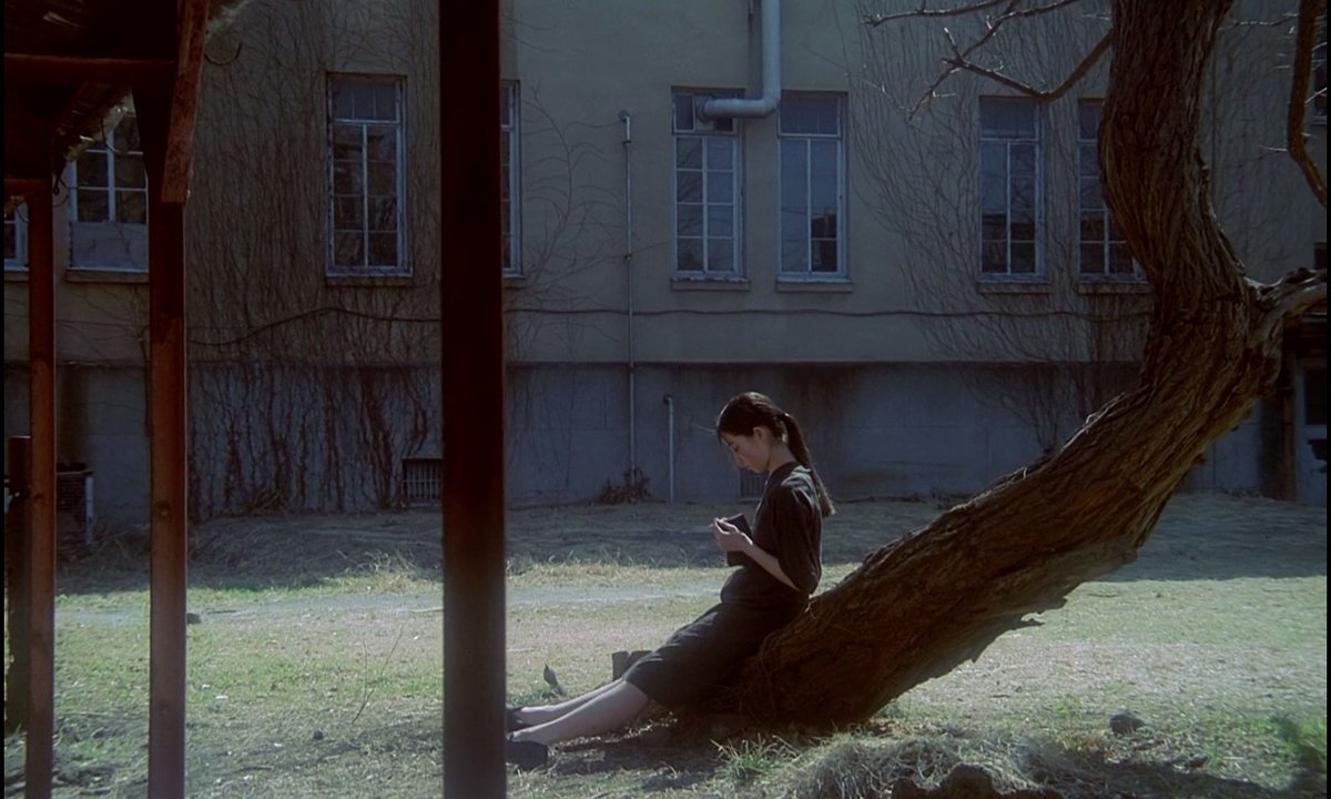 Semyon_n's tweet photo. Swallowtail Butterfly

Dir. Shunji Iwai https://t.co/AkDp0x1K0y