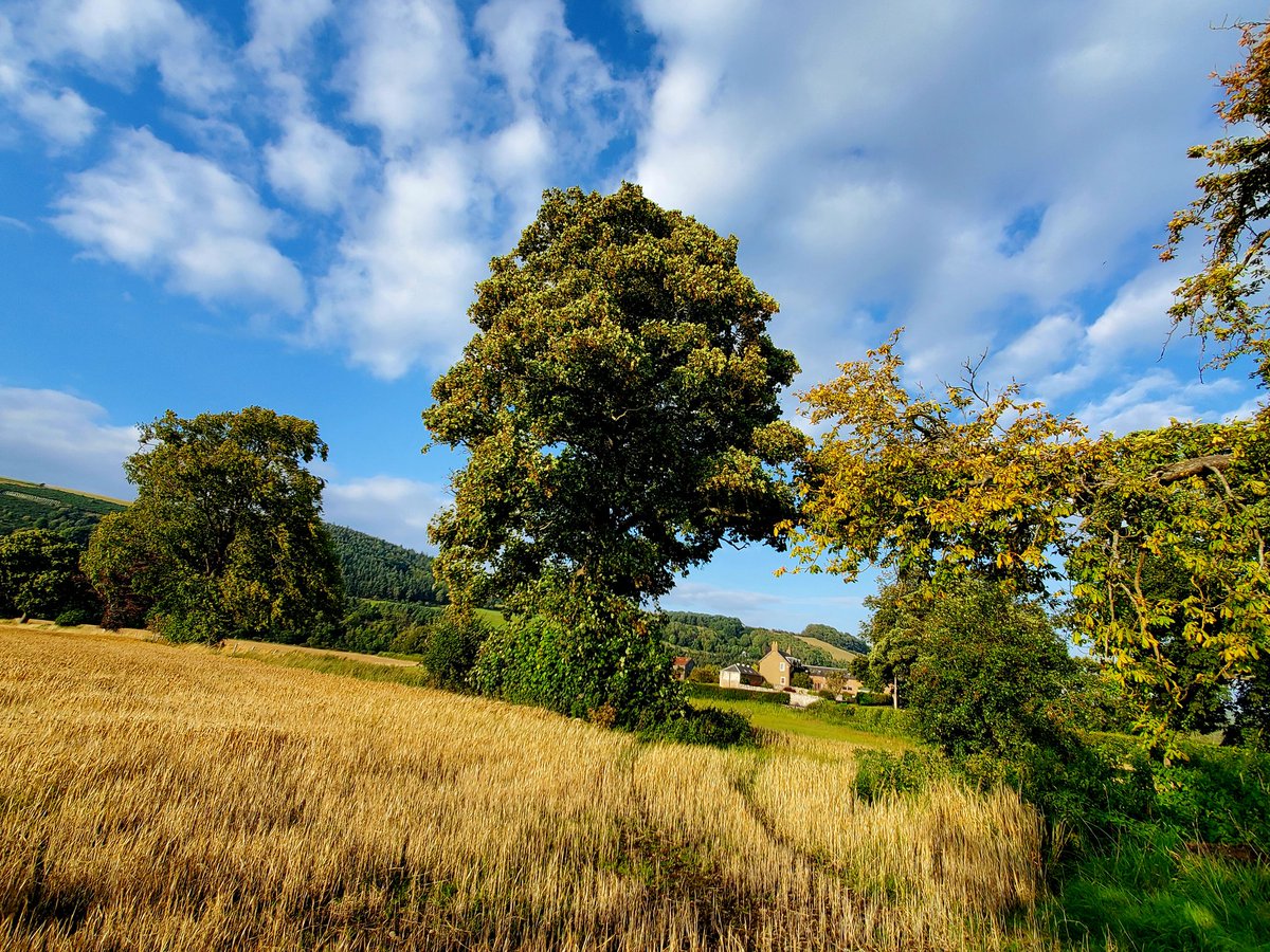 blonde_on_bikes's tweet image. Back in the bonnie Scottish Borders #melrose #blackhill #earlston