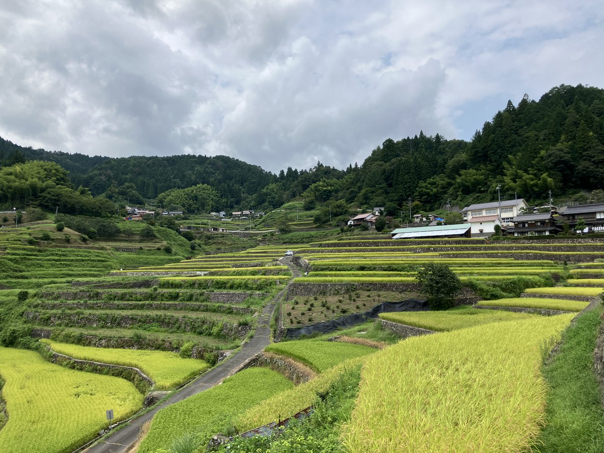 なみひろ tweet media