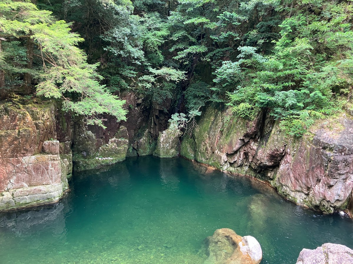 なみひろ tweet media