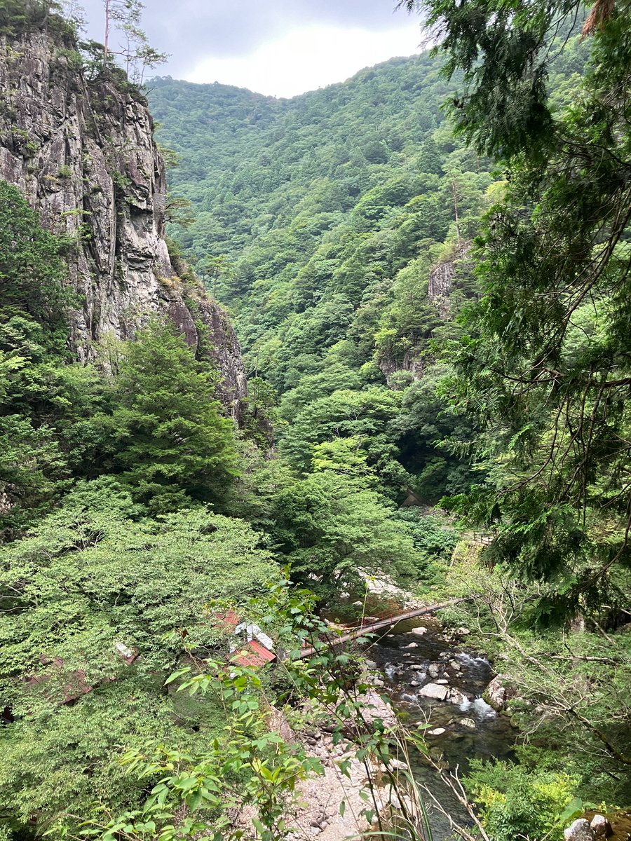 なみひろ tweet media