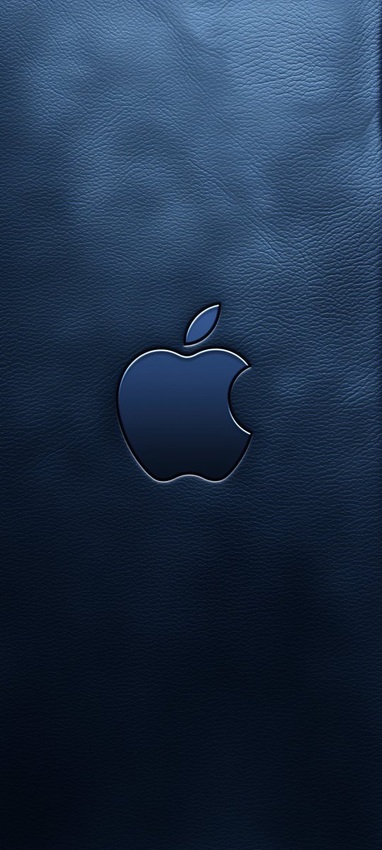 Time Traveler tweet media