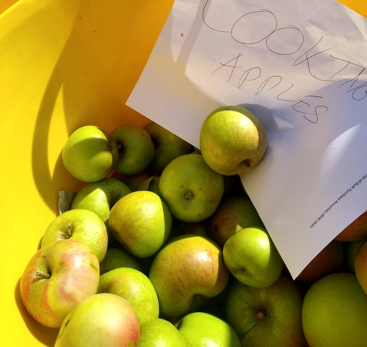 📣Apple giveaway today until 12 noon.🍎🍏🍎
#SouthfieldsStation
FREE local apples straight off the tree to take away NOW 
🍏🍎🍏Cookers and eaters!
Perfect for pies and crumbles. Come and get 'em. Fill a bag NOW until 12 noon 
<a href="/SouthfieldsGrid/">Southfields Grid Residents Association</a> 
#sw18 #Wandsworth #sustainability