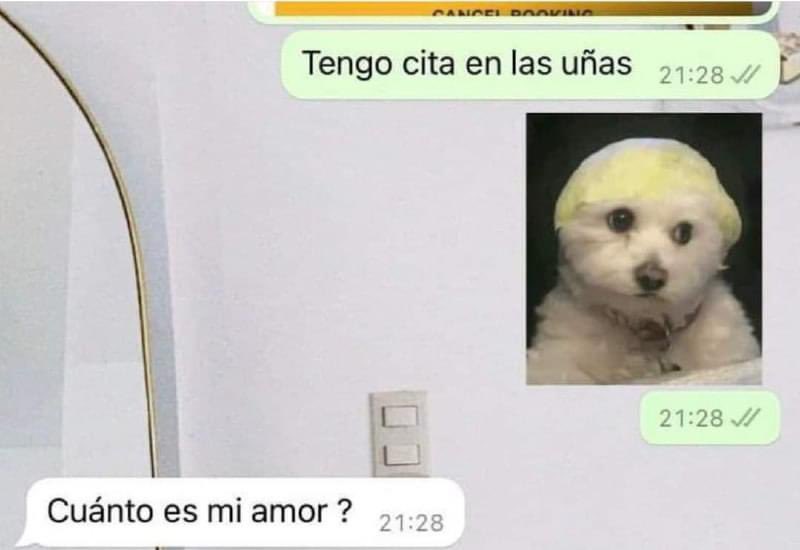 Uno así