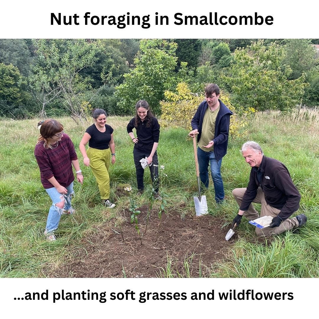 Nuts, oh hazelnuts! Actually no, it was mulberries and cobnuts that we found at our nut foraging evening in Smallcombe. 🌰The squirrels have enjoyed a few too! 🐿We also planted more delicate soft grasses and wildflowers to reduce the amount of coarse grass. 🌼
