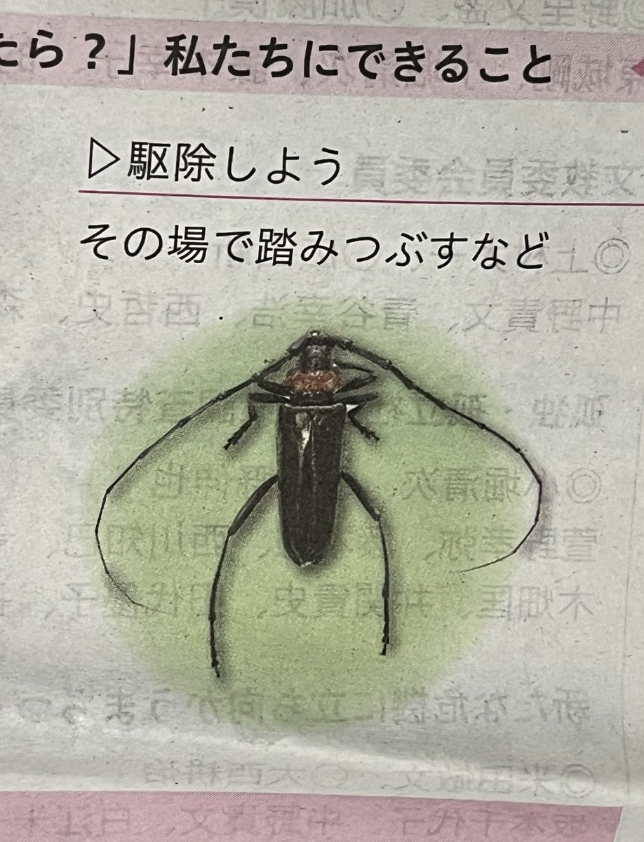 パンプスザーメン みさき (@unmakon) / X