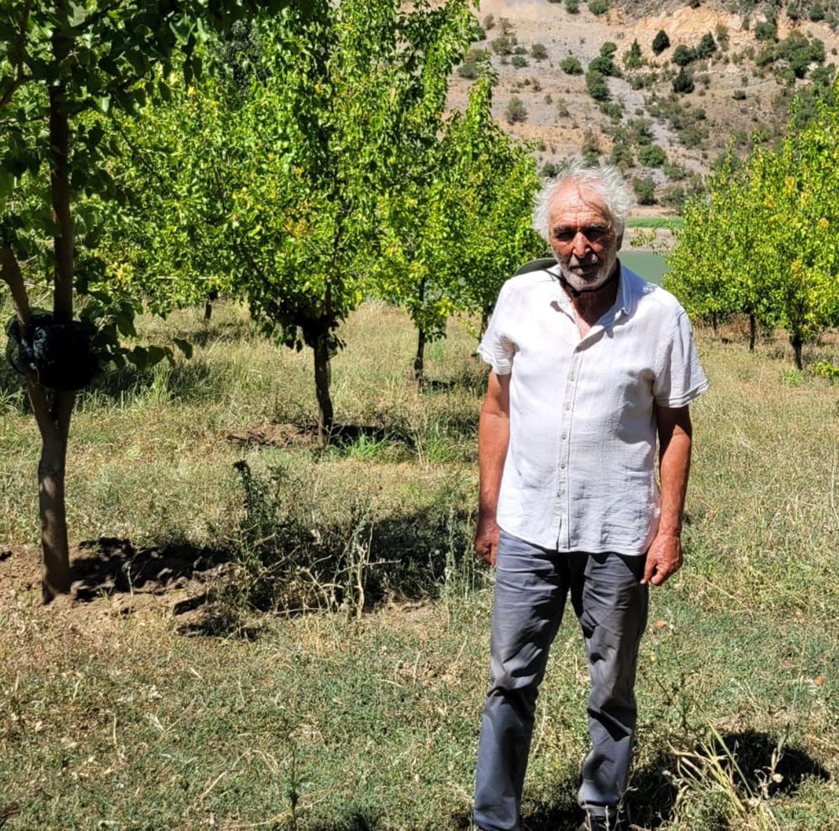 Erzincan'da yaşayan 74 yaşındaki emekli öğretmen Mustafa Özer, 10 yılda 20 bin fidan dikti.