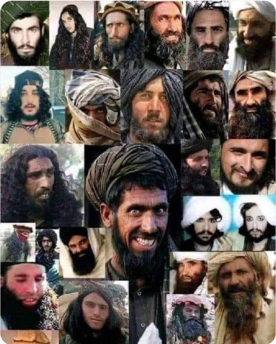 Ebne_noah's tweet photo. حالا دیگر درخواست اخراج افاغنه فقط مختص ایران نیست و تشکیل این کمپین پایش به اروپا هم باز شده،فیلمبرداری از زنان و دختران المانی حالا صدای ژرمانی ها را هم‌ دراورده و شاهد  نظرات مشمئز کننده ی افغانی ها در تیک تاک و اشاره به اندام زنانه ی افراد حاضر با ولع جنسی را  نمیتوان نادیده گرفت،این موضوع نیز در بین سایر مهاجمین مثل اعراب مشاهده میشود و در فیلم دیگری شاهدید که چند مرد بالغ و میان سال چگونه از دختر بچه ها در حال فیلمبرداری هستند،
جامعه ای که هیچ تخصص و شغل و تمایلی به تربیت و اموختن ندارند و بی شک بجز حق رای در آینده ی جماعت چپ حامی شان،حتی سیاست تامین نیروی انسانی را به خصوص در المان،با شکست روبرو ساخته اند،مخصوصا اعراب که مشاهده میشود عجیب از کار فراری هستند و دریافت حقوق سوسیال(سوشیال) به تن پروری شان افزوده.

اینده را میتوان ابستن دو تغییر دانست:
۱-تغییر روند مهاجرت و اقامت پناهجویی
۲-نفوذ فرهنگ اسلامی و تغییر اروپا و اضمحلال قاره ای که سبز #بود!