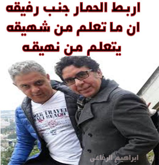 EbrahimElrefae's tweet photo. بذمة ابوكم
يعنى الاشكال دى
بقالها 11 سنة بتشتم فينا 
وتكذب وتخون وتشوه وعملت كل اشكال البلاوى السوده
بذمة ابوكم
ينفع نتصالح مع الاشكال دى ؟ https://t.co/30tp1G6u4j