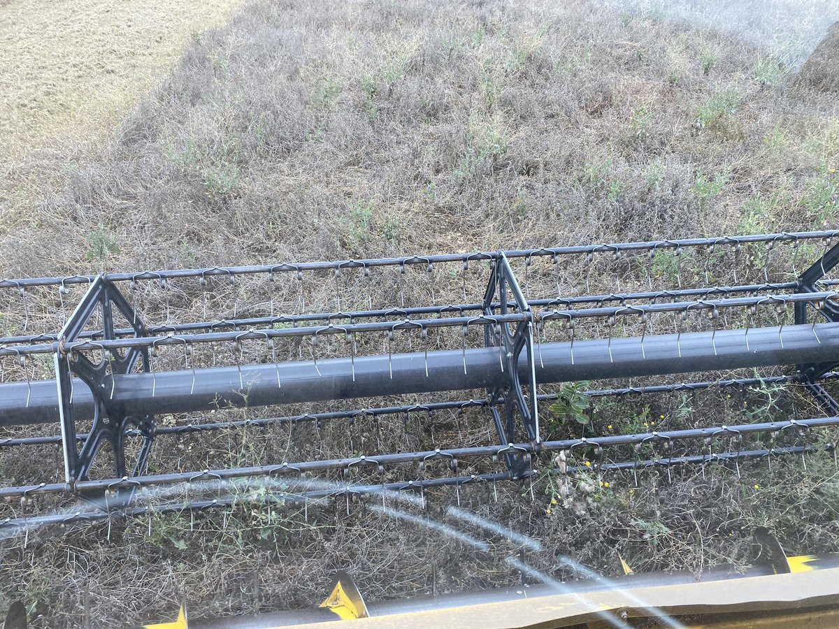 sbneveux's tweet photo. Récolte du #fenugrec ce vendredi,
Paraît que le rendement est record! La chance du débutant !
Cela fait réfléchir : semences, 100 kg de kieserite, moissonneuse batteuse…
Tout n’est pas perdu 😜 https://t.co/9Lu4tKbrNP