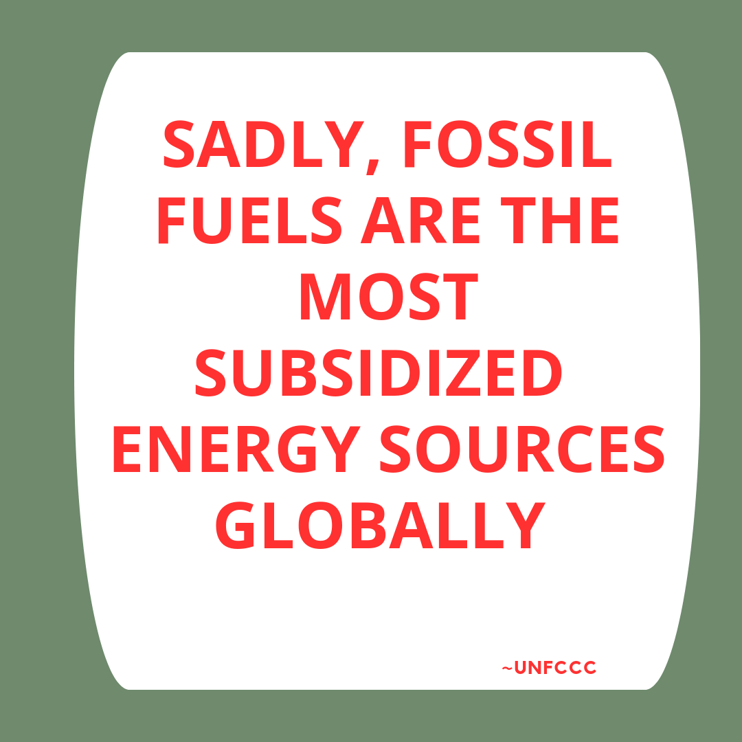 ALIYU SADIQ  tweet media