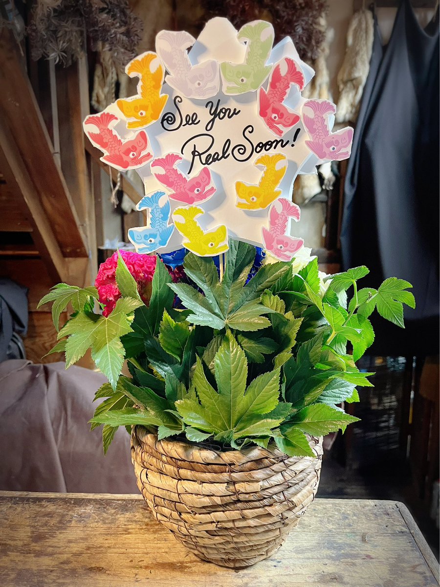 takayuki7794's tweet photo. TENKIくんのお誕生日と
ライブ開催をお祝いして
お花を贈らせていただきました。

さらなる飛躍を願って！

#relabel https://t.co/wRjmXQRHNZ