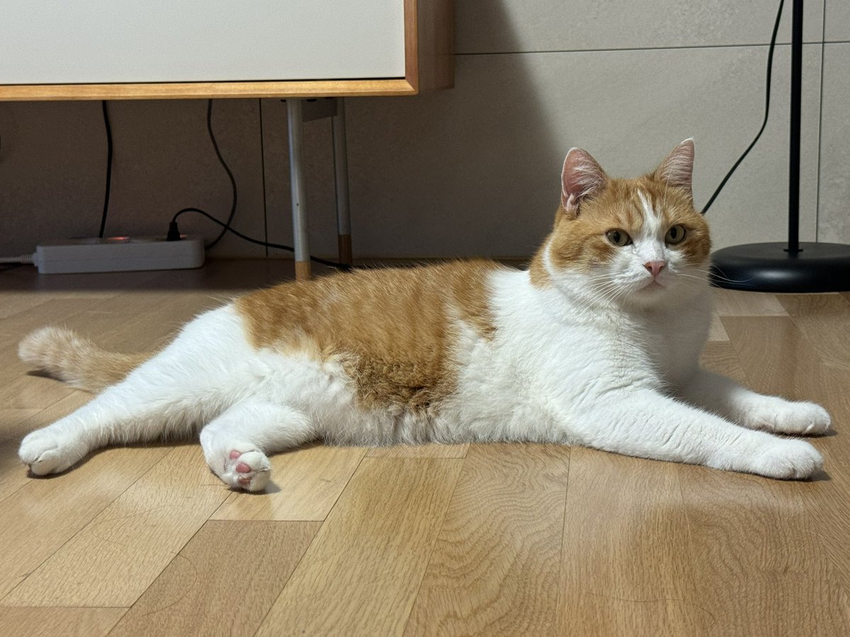 야 너 좀 중후해지는거같다