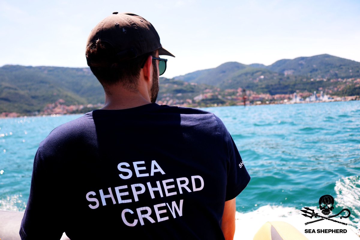 Sea Shepherd Italia tweet media