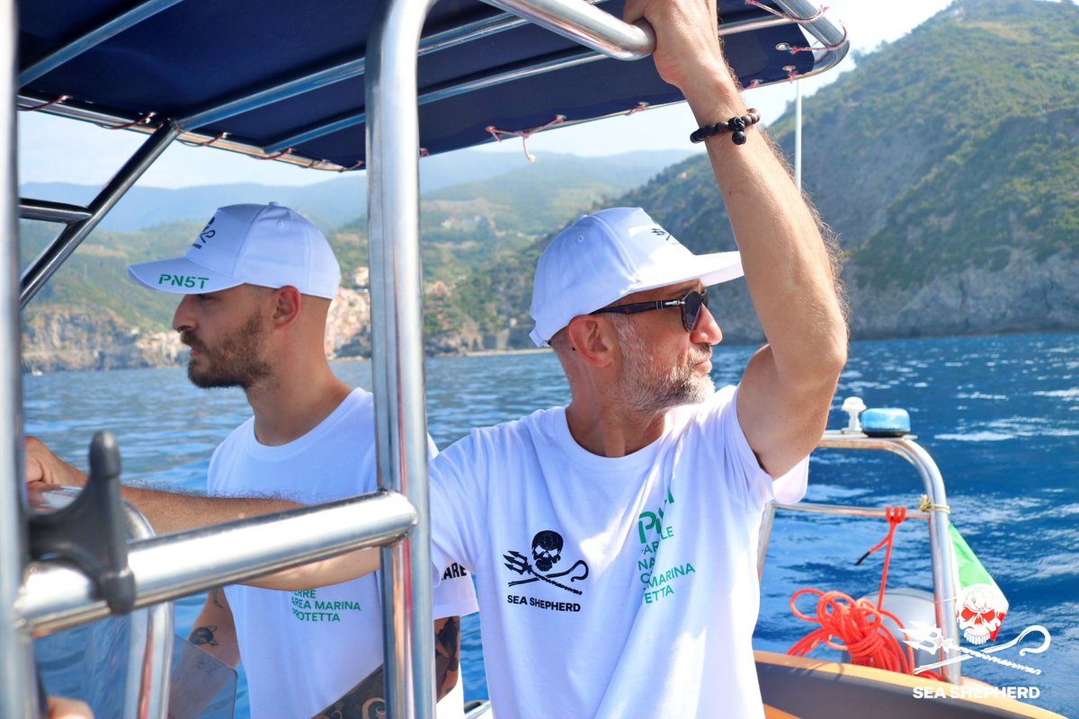 Sea Shepherd Italia tweet media