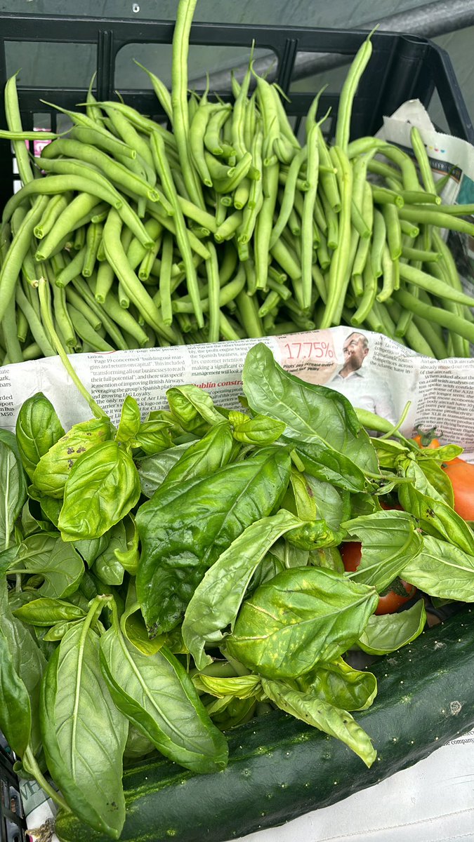 Yellow Pepper Restaurant YP|36 tweet media