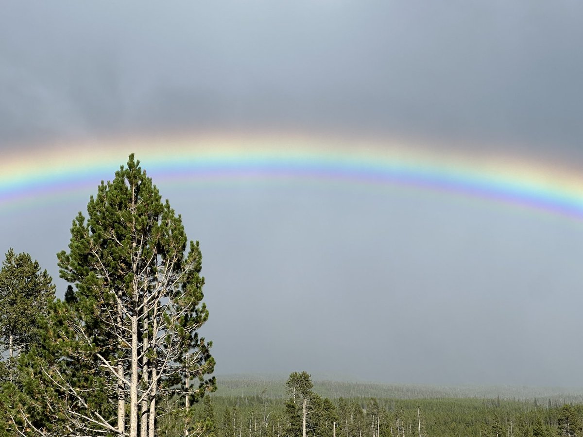 John Gardner tweet media