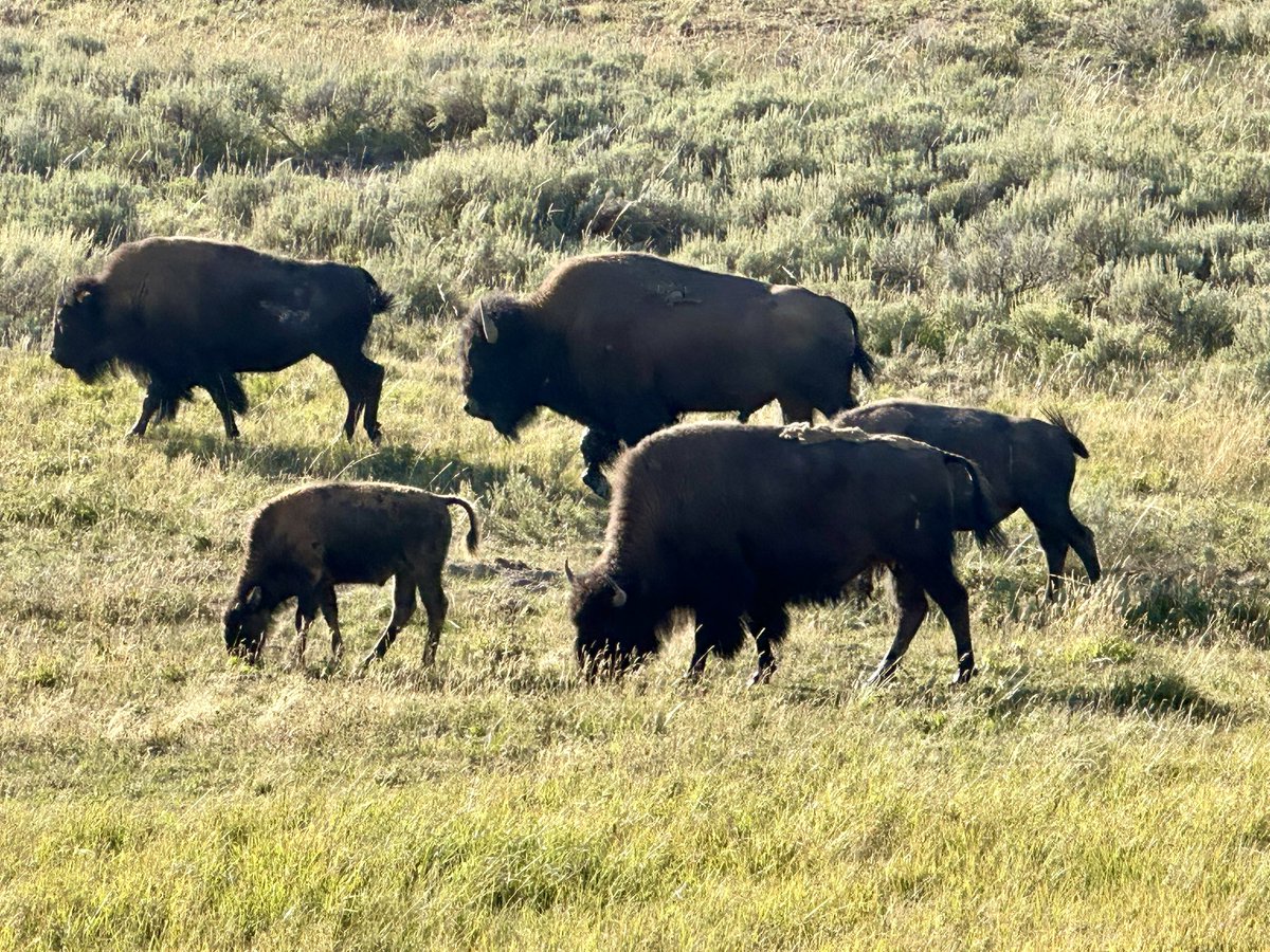 John Gardner tweet media