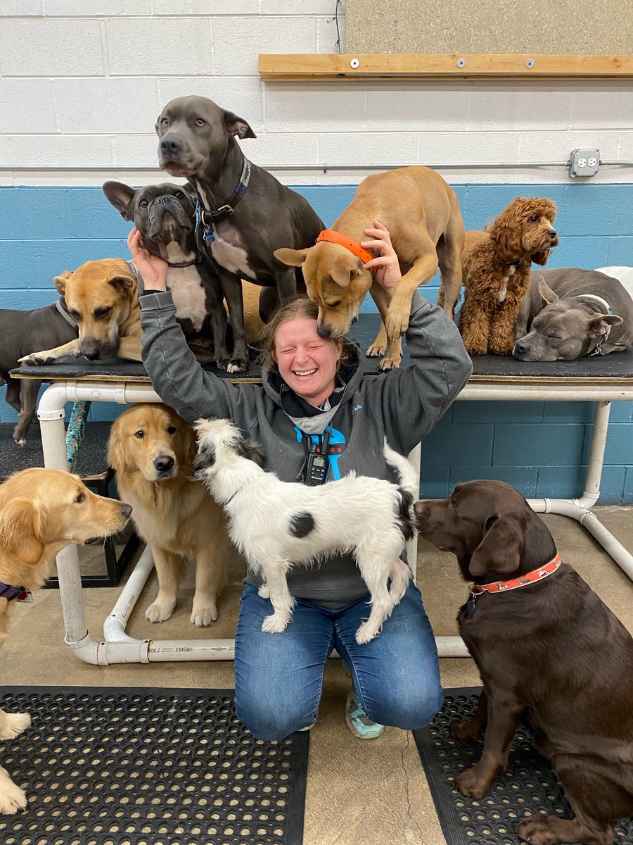 Life Update! I had my last day at daycare this week. It’s been almost 7 years. I am going to miss dogs, but I’m very excited to focus on the shop.