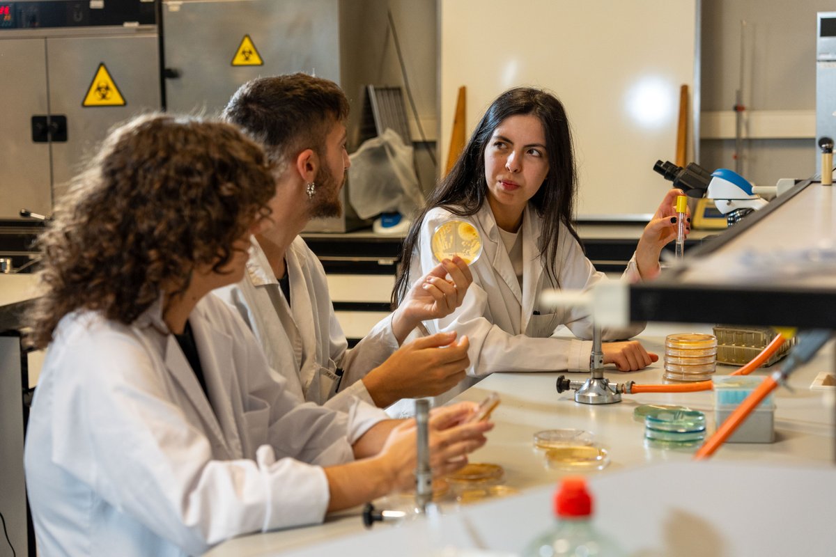 ⚠️Na seguinte ligazón podedes consultar a información sobre as diversas convocatorias de axudas ás que o persoal de investigación da nosa universidade pode concorrer.

➡️⁣⁣⁣⁣ i.mtr.cool/lhsqqrzbho

#MáisUVigo #UVigo100x100 #SempreUVigo #VivoUVigo #SomosUVigo