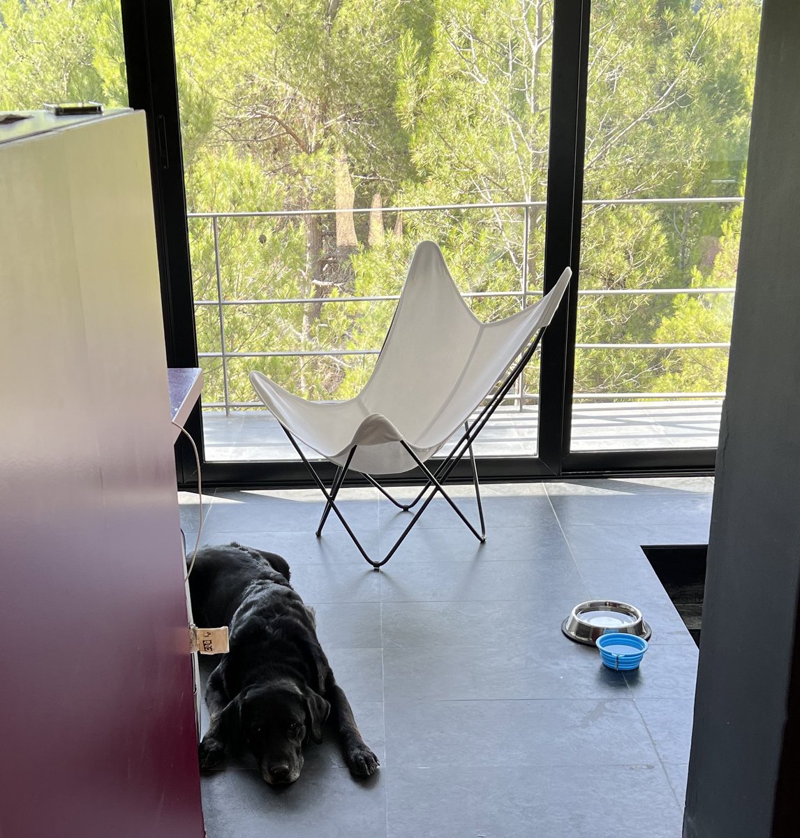 Jean Marc Ouvré tweet media